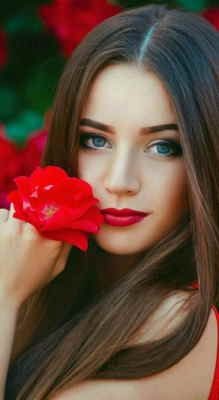 Rosas rojas
